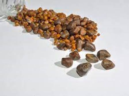cow/ox gallstones for sale