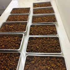 Natural Ox/Cow Gallstones for sale